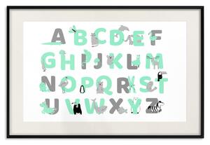 Plakát Anglická abeceda pro děti - šedá a mátová písmena se zvířátky