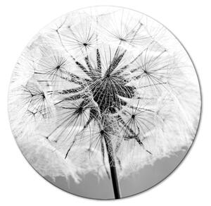 Kulatý obraz Síla přírody - černobílý detailní záběr na mouchu ve větru