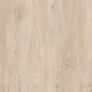 Relit GD Loyal 5,61 m2