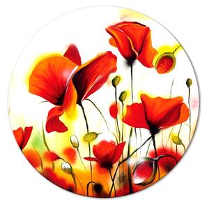 Kulatý obraz Červené máky - louka plná květů zahalených ranním sluncem