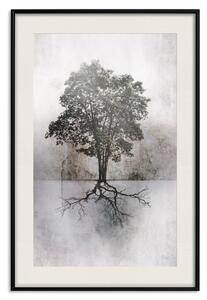 Plakát Krajina - strom s rozlehlými kořeny na hnědo-bílém pozadí