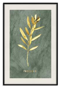 Plakát Originální rostlina - část olivového stromku na mramorovém pozadí