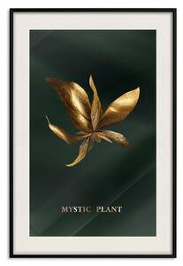 Plakát Třpytící se rostlina - květina na zeleném hedvábném pozadí