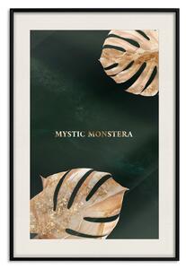 Plakát Mystická monstera - zdobené exotické listy na tmavě zeleném pozadí