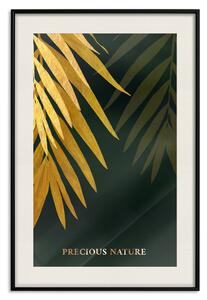 Plakát Exotická příroda - tropické rostliny na tmavě zeleném pozadí
