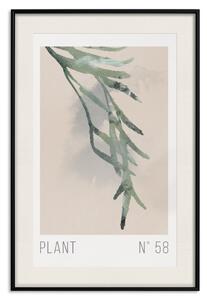 Plakát Číslo rostliny 58