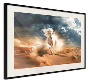 Plakát Bílý kůň - divoké zvíře cválající pouští během bouře