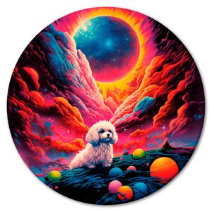 Kulatý obraz Galaktický pudl - sedící chundelatý pes na pozadí kosmické oblohy
