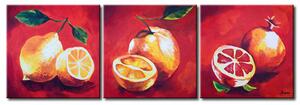 Obraz Vitamín C (3 díly) - malovaná citrony a grapefruity s listy