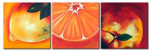 Obraz Tři citrusy (3 díly) - osvěžující motiv v oranžových barvách