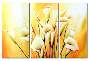 Obraz Klasická krása (3 díly) - kytice světlých kalií na žlutavém pozadí