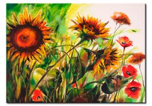 Obraz Jarní louka - slunečnice a máky