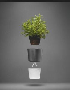Samozavlažovací květináč na bylinky tmavě šedý Eva Solo