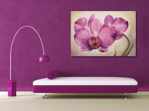 Obraz Smyslná orchidea