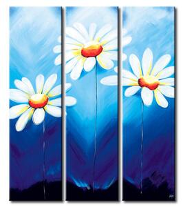Obraz Pampelišky (3-dílný) - kompozice bílých květů na modrém pozadí