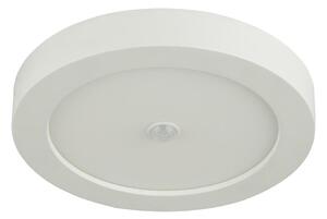 GLOBO 41605-18S - LED Venkovní stropní svítidlo se senzorem PAULA 1xLED/18W/230V