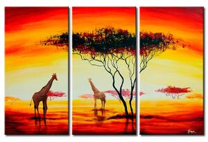 Obraz Dvě nesmělý žirafy