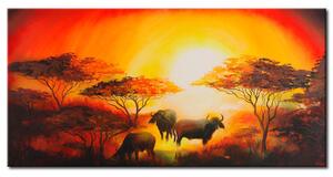 Obraz Zvířata africká (1dílný) - buvole na pozadí západu slunce