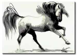Obraz Galop I (1dílný) - příroda s galopujícím koněm na bílém pozadí