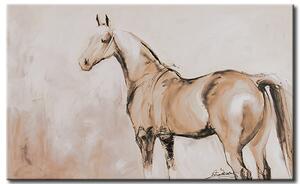 Obraz Bílý kůň (1dílný) - příroda s důstojným zvířetem na světlém pozadí