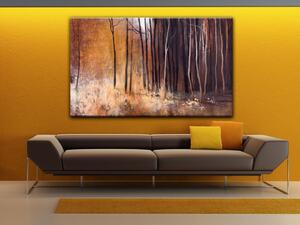 Obraz Podzimem malované (1dílný) - krajina s lesem vysokých stromů