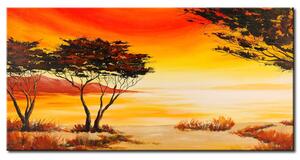 Obraz Krajina (1dílný) - příroda savany s stromy při západu slunce