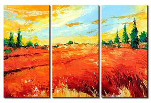 Obraz Léto (3dílný) - krajina oranžových polí a modré oblohy