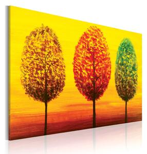 Obraz Stromy čtyřech ročních období (1-dílný) - barevná příroda