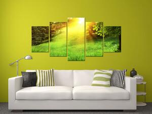 Obraz Zelená tráva přírody (5-dílný) - sluneční krajina louky a stromů