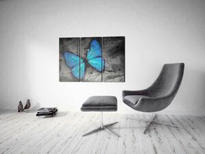 Obraz Studie motýla - triptych