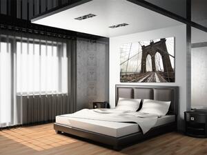 Obraz Most spojující svět (1-dílný) - zimní architektura New Yorku