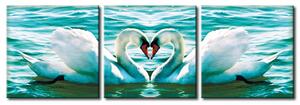 Obraz Příroda ptáků (3-dílný) - bílí labutě tvořící srdce společně