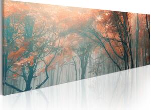 Obraz Mlžné kouzla podzimu (1-dílný) - tajemný les v barvách přírody