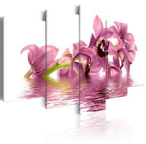 Obraz Ráj pro přírodu (5-dílný) - růžový květ lilie ponořený ve vodě
