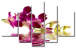Obraz Fialová orchidej (5-dílný) - Květy orchidejí ponořené ve vodě
