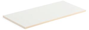 AJ Produkty Police THEO, dřevěné lamelové jádro, 1000x450 mm, hrana bříza, bílá