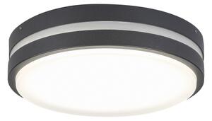 Rabalux 8847 - LED Venkovní nástěnné svítidlo HAMBURG LED/10W/230V IP44