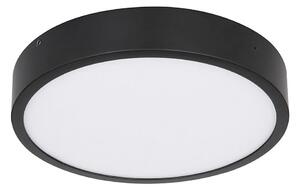 Globo 12368-22 - LED Stropní svítidlo LUCENA LED/22W/230V