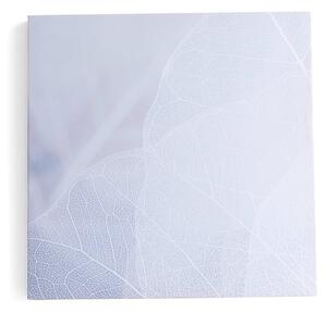 AJ Produkty Akustický panel IMAGE, zimní listí, 800x800 mm, šedá