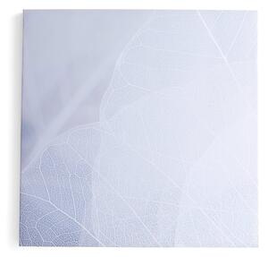 AJ Produkty Akustický panel IMAGE, zimní listí, 1200x1200 mm, šedá