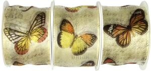 Set 3x Stuha taftová BUTTERFLY YELLOW žlutá 3x (40mm x 2m)