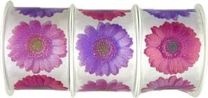 Set 3x Stuha taftová GERBERA PURPLE fotopotisk Gerbera 3x (40mm x 2m)