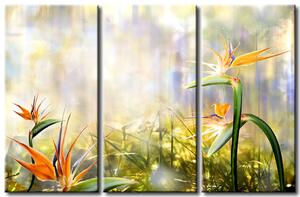 Obraz Vysněná země (3-dílný) - barevné květy ve slunečních paprscích