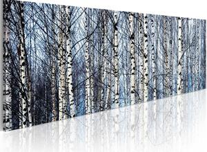Obraz Bílé břízy (1-dílný) - krajina s lesem na pozadí modré oblohy