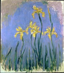 Monet, Claude - Obrazová reprodukce Yellow Irises; Les Iris Jaunes, c.1918-1925, (35 x 40 cm)