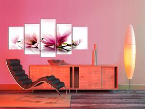 Obraz Růžové magnólie (5-dílný) - kompozice s květy na bílém pozadí