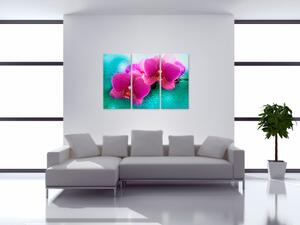 Obraz Turkois a orchidej (3-dílný) - růžové květy na pozadí s vodním efektem