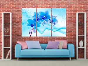 Obraz Éterická orchidej - modrá