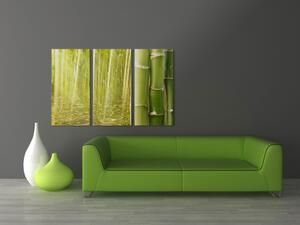 Obraz Bambus ve vodní hladině (3-dílný) - zelená vegetace a harmonie zen