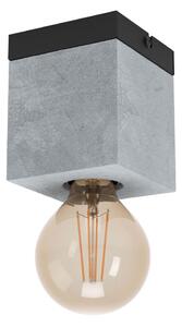 Eglo 43595 - Stropní svítidlo PRESTWICK 1xE27/40W/230V